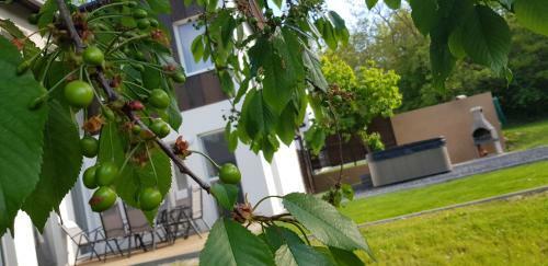 Kenese-v�lgye Villahotel