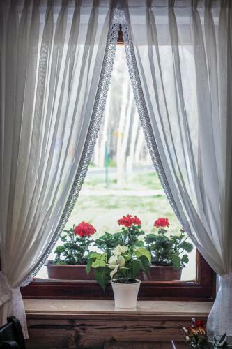 Posada Szent Anna Fogad�