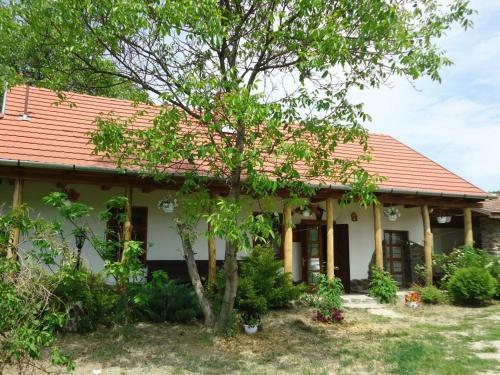 Hostal Bableves Vend�gh�z