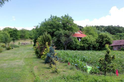 Hostal Bableves Vend�gh�z
