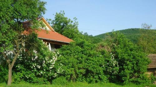 Hostal Bableves Vend�gh�z