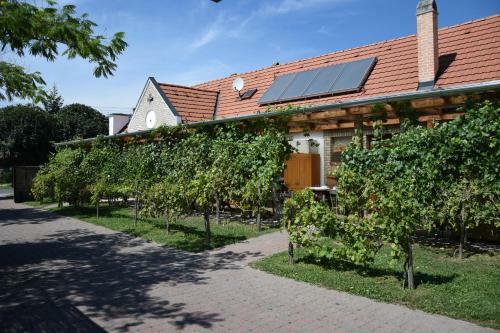 Hostal Luca Haza