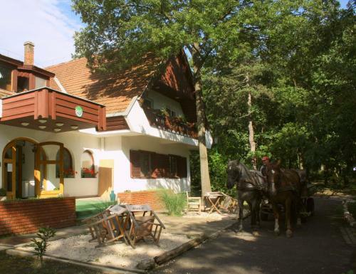Hostal Zseri Vad�szh�z