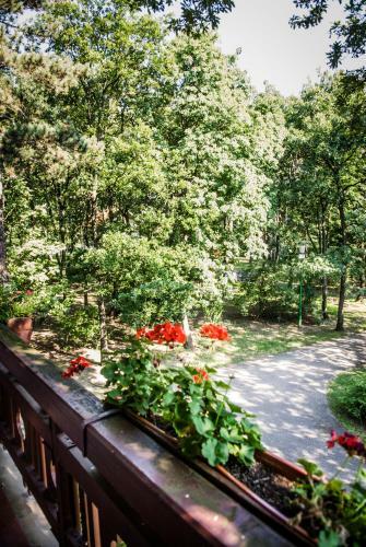 Hostal Zseri Vad�szh�z
