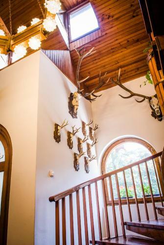 Hostal Zseri Vad�szh�z