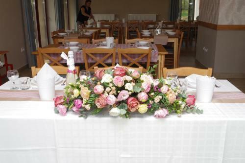 Bed & Breakfast T�lgyfa Fogad�