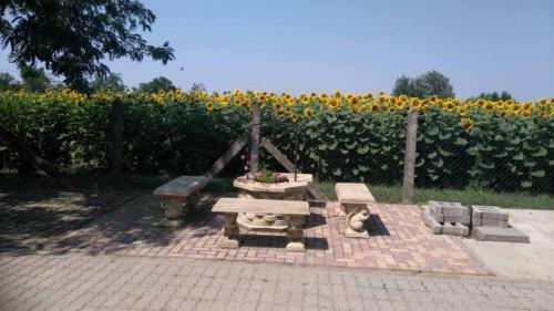 Hostal Horg�sz-vad�sz Vend�gh�z