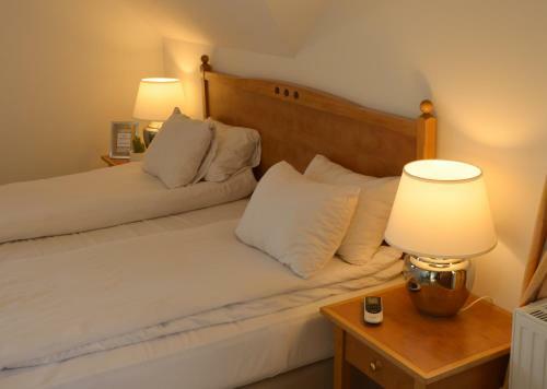 Hostal Buz�s Pince Vend�gh�z