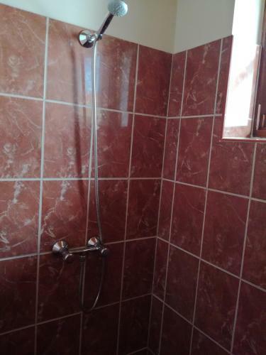Plajbi Apartment