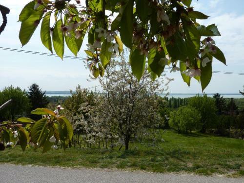 Hostal Villa Panor�ma