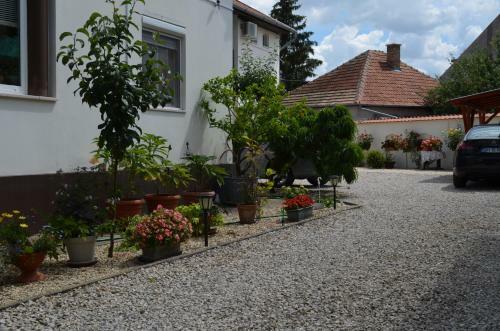 O�zis Apartman