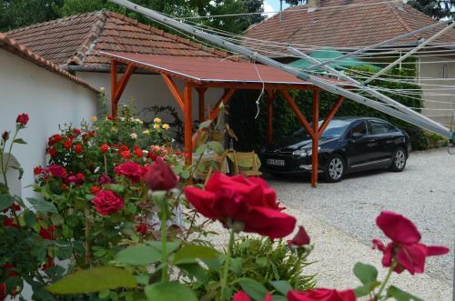 O�zis Apartman