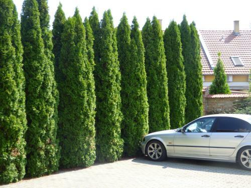 Abban Durmolj Apartman