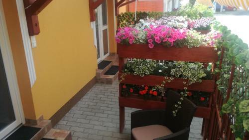Apartamento K�ri Vend�gh�z