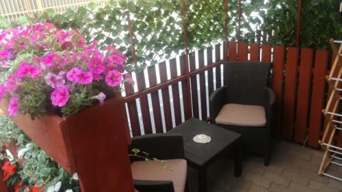 Apartamento K�ri Vend�gh�z