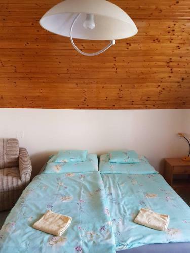 Hostal T� �ti Vend�gh�z