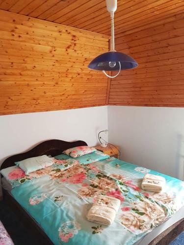 Hostal T� �ti Vend�gh�z