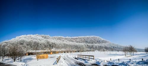 Hotel Szentk�t Pilgrim Center