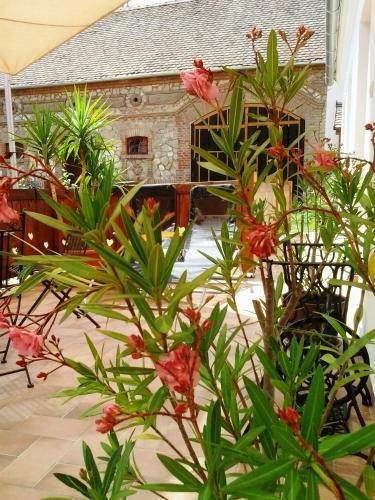 Hostal Levendula Porta �s Pajtasz�nh�z