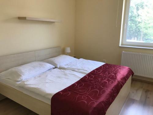 Suri Bau Apartman