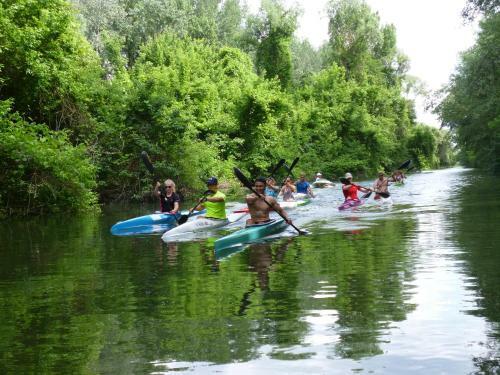 Bed & Breakfast Tisza Lodge