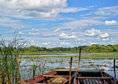 Bed & Breakfast Tisza Lodge