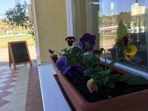 Bed & Breakfast Romantik �tterem - Panzi�