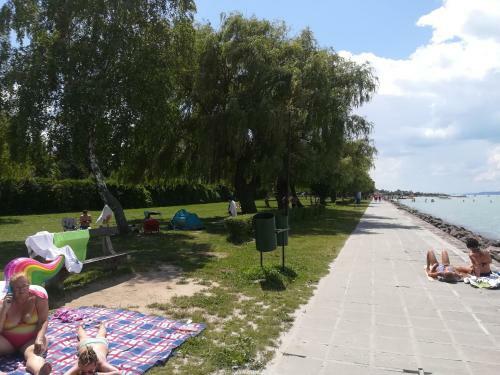 Apartment In Siofok/balaton 36062