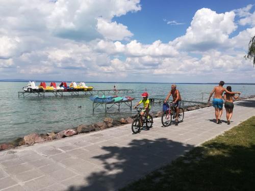 Apartments In Siofok/balaton 35514