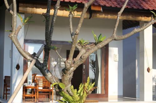 Soka Amed Beach