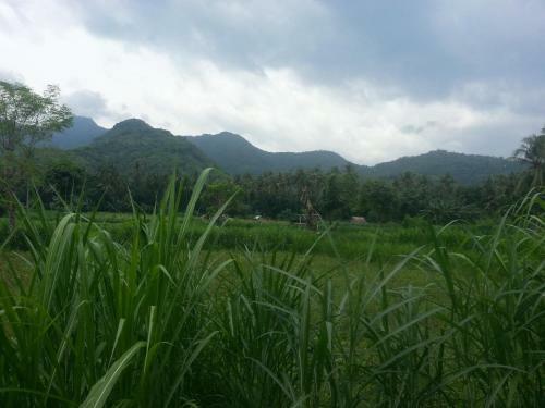 Lumbung Sari Home Stay