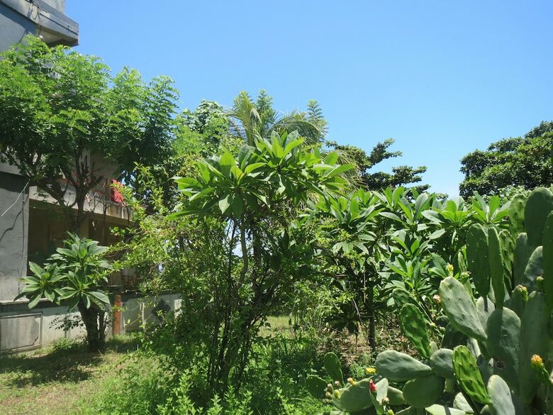 Hostal Amed Sari Beach Guesthouse