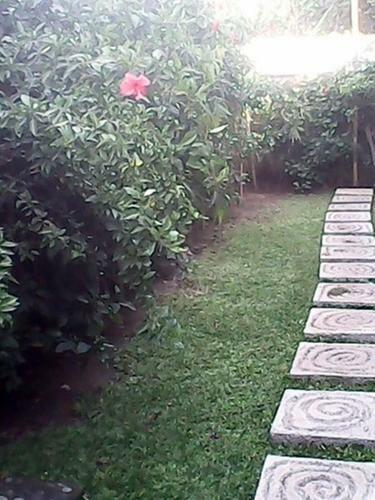 Bali Sari Homestay