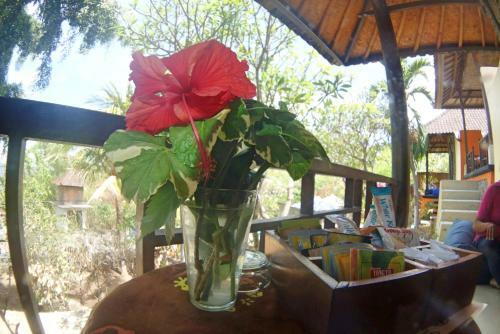 Hostal The Horizon Bungalows