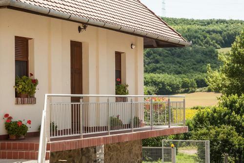 Hostal Wekler Csal�di Pinc�szet �s Panzi�