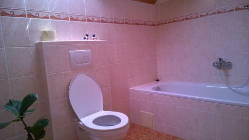 Apartamento O�zis Vend�gh�z