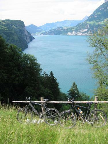 Chalet Hotel Krone