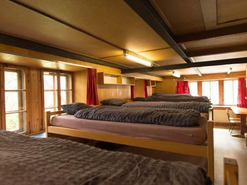 Albergue Gasthaus Pension Zum Turm