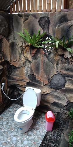 Hostal Tiing Bali Guest House Adventure