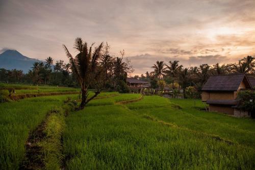 Hotel Sambi Resort, Spa & Restaurant