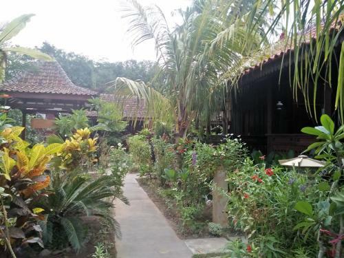 Villa The Wisma