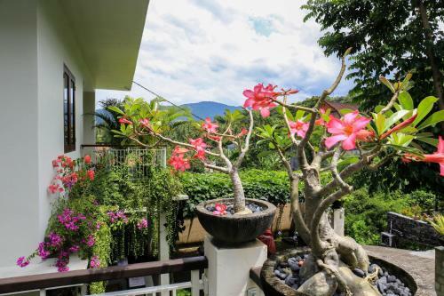 Hotel Dewi Villa