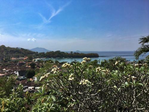 Hostal Villa Manouria - Marcel