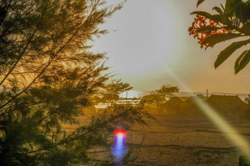 Hostal The Anara Surfing Camp