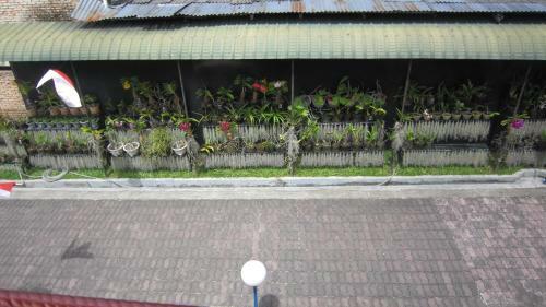 Horas Family Home