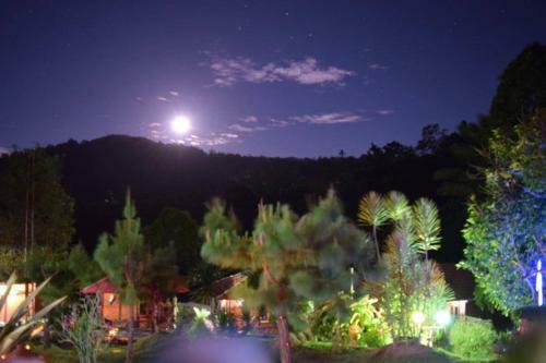 Mountain View Resort & Spa