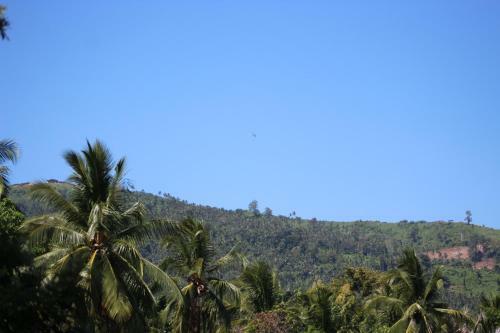 Angela Homestay Manado