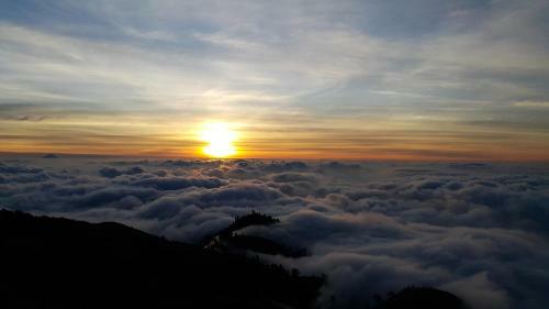 Rinjani Beach Eco Resort
