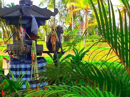 Villa Amaya Cottage Ubud