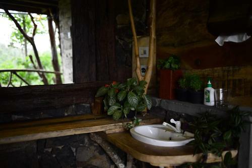 Villa Poin Cliffs & Tree House